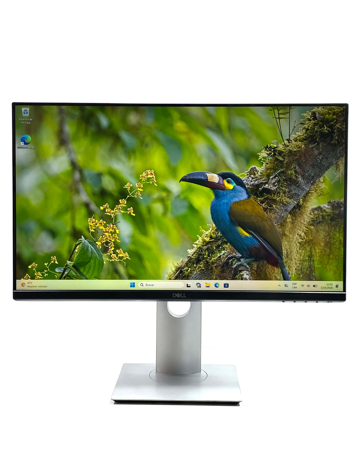 Monitor Dell P2419H 23.8" FHD IPS HDMI c/ cable
