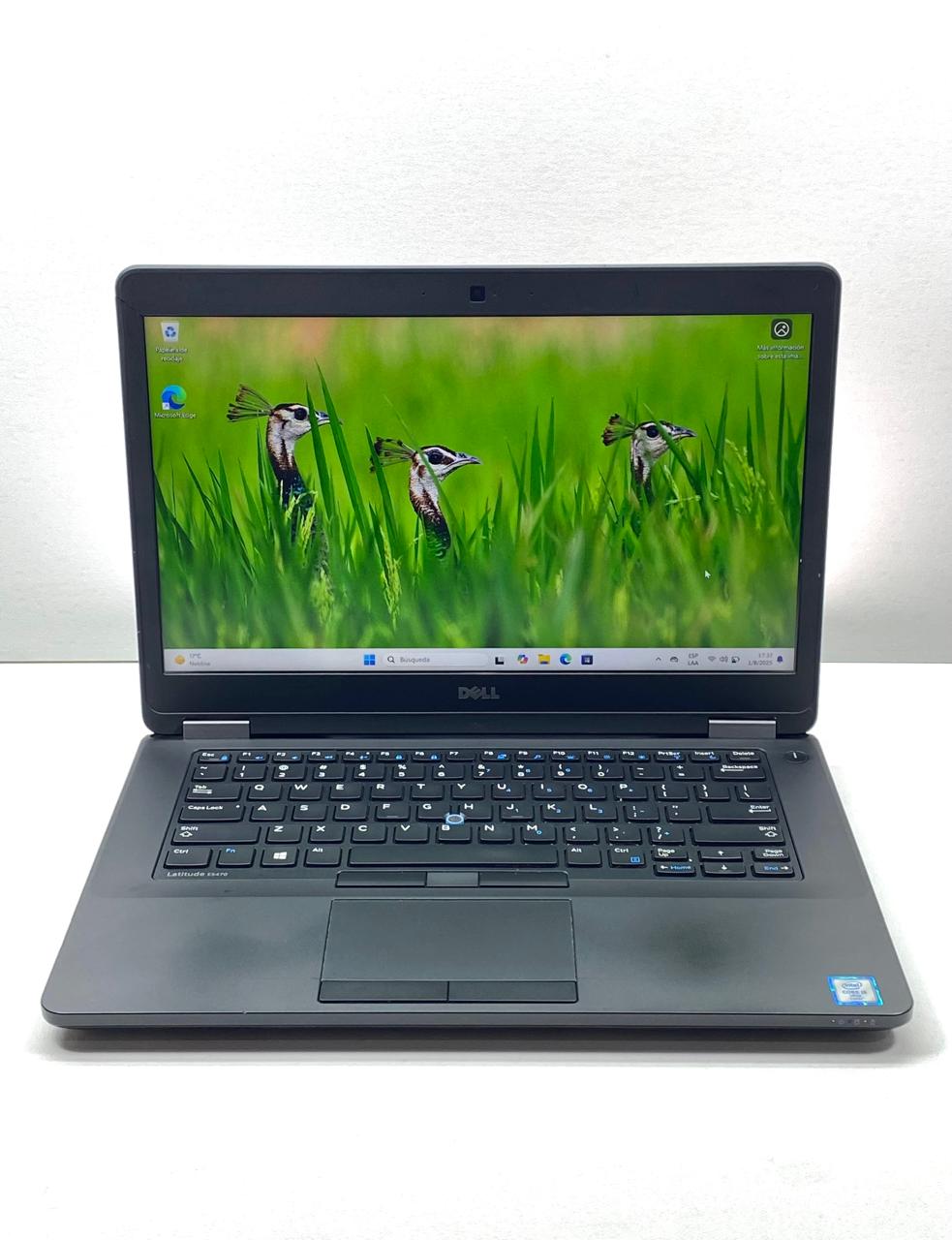 Laptop Dell Latitude E5470 14" 1920x1080 (FHD) Core i5-6440HQ 16GB RAM DDR4 256GB M.2 SSD WINDOWS 11 PRO c/ cargador